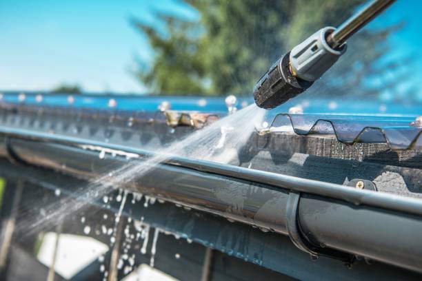 Best Roof Pressure Washing  in Brown City, MI