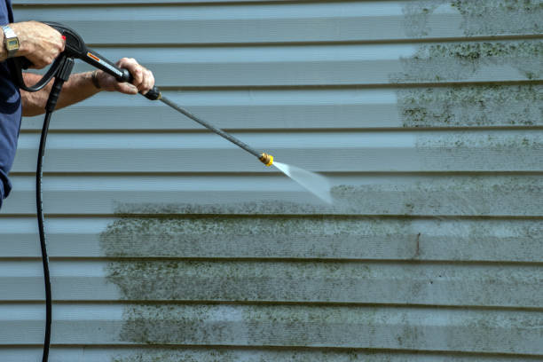 Best Affordable Power Washing  in Brown City, MI