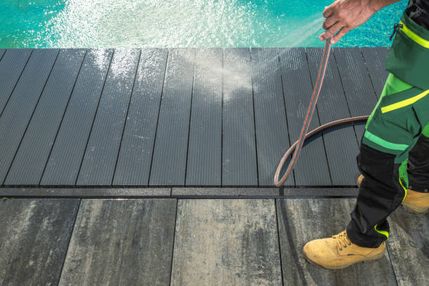 Best Residential Pressure Washing Services  in Brown City, MI