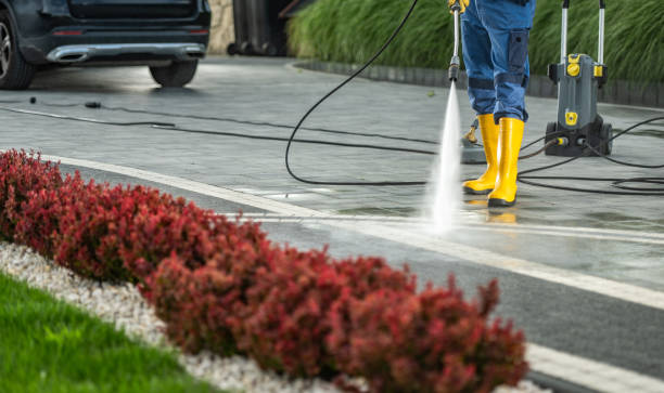 Best Roof Power Washing Services  in Brown City, MI