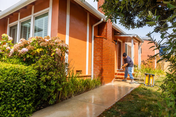 Professional Pressure Washing in Brown City, MI