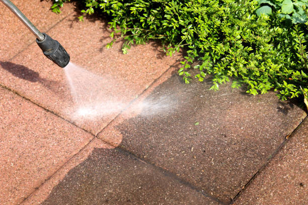 Best Local Pressure Washing Services  in Brown City, MI